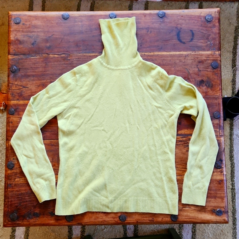 Garnet Hill Cashmere Turtle Neck